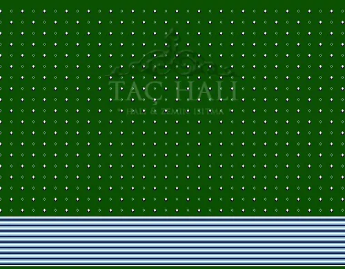 TAC CAMİ HALISI ASY 15