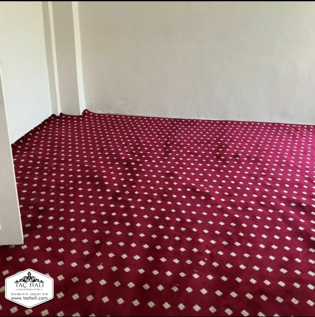 Safsız Polip 2650